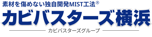 カビバスター隊