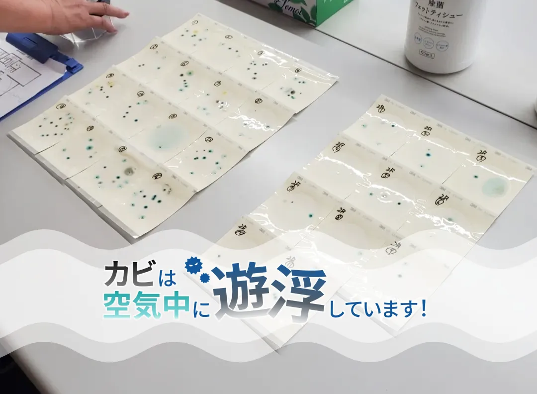 空気中のカビ浮遊菌が健康に及ぼす影響とアレルギー対策／MIST工法®の活用法について