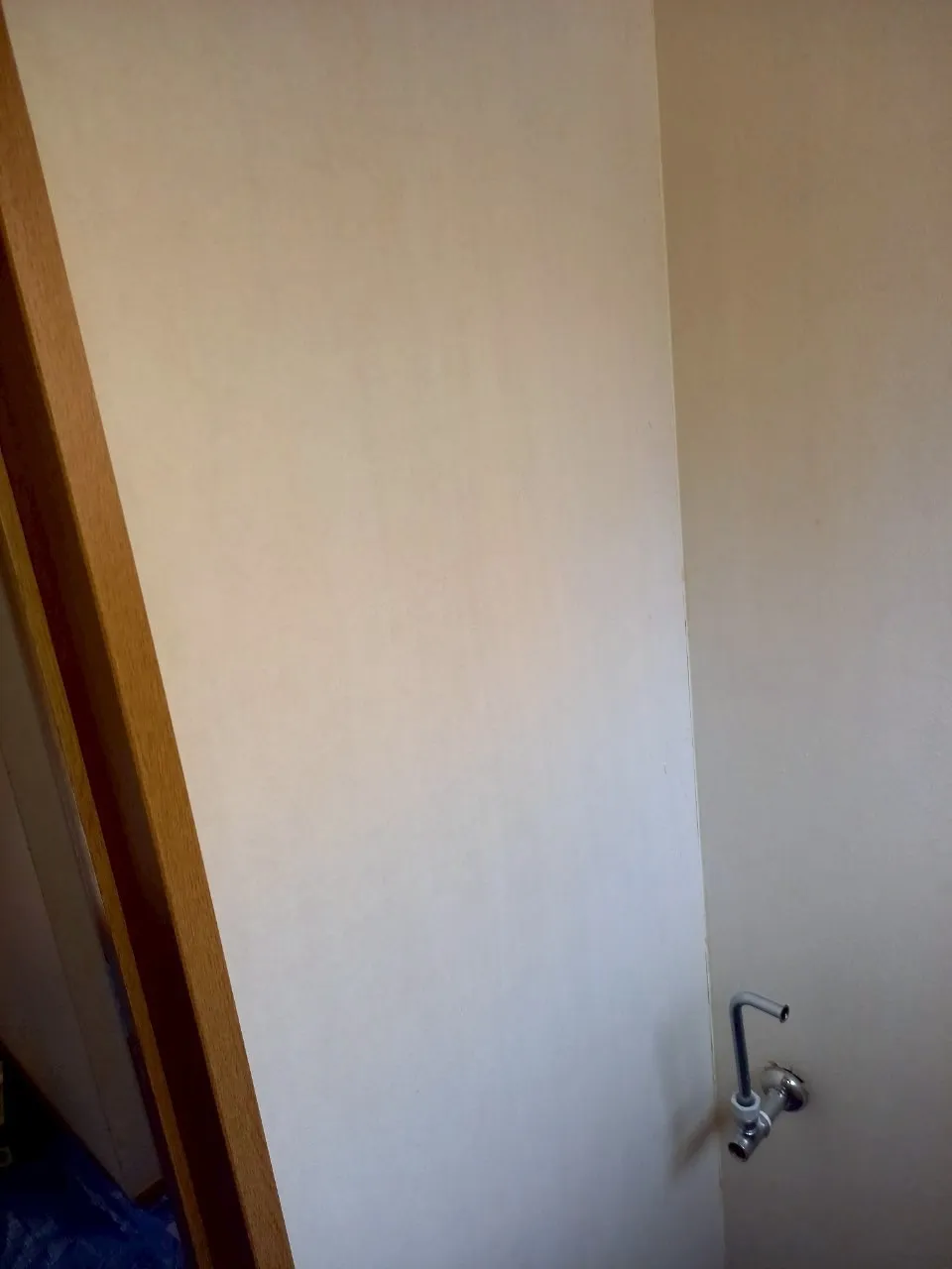 【神奈川県】戸建住居のカビ検査・除去