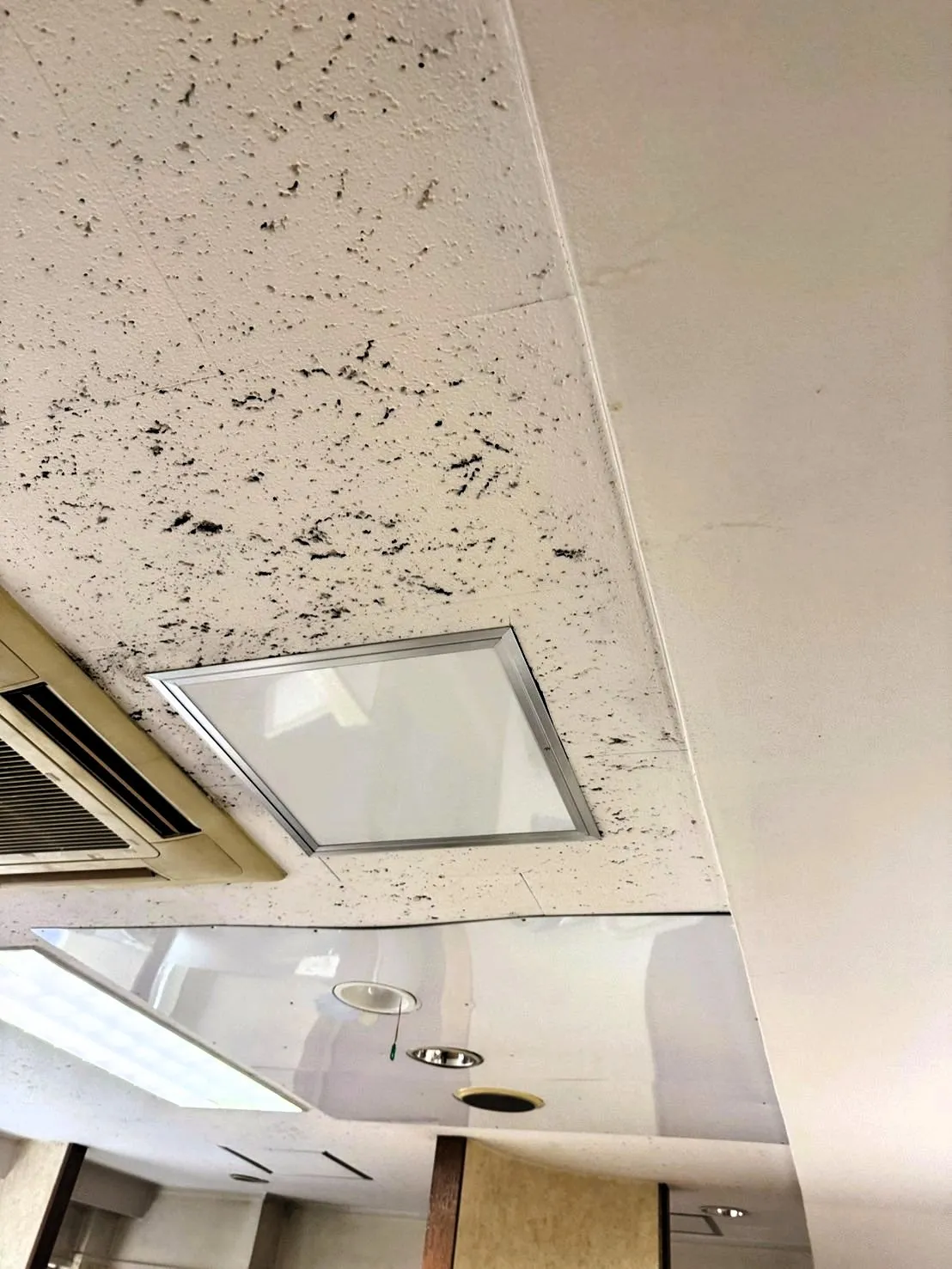 【神奈川県】歯科医院のカビ検査・除去