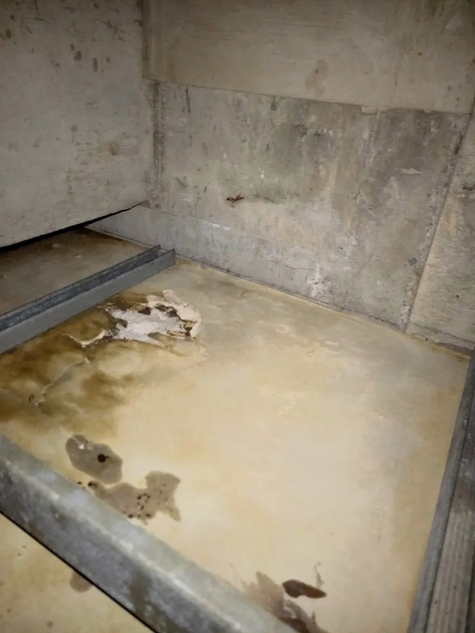 【神奈川県】歯科医院のカビ検査・除去