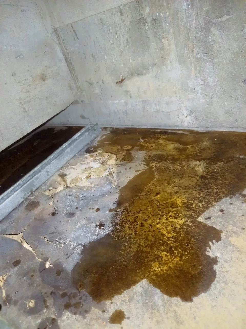 【神奈川県】歯科医院のカビ検査・除去