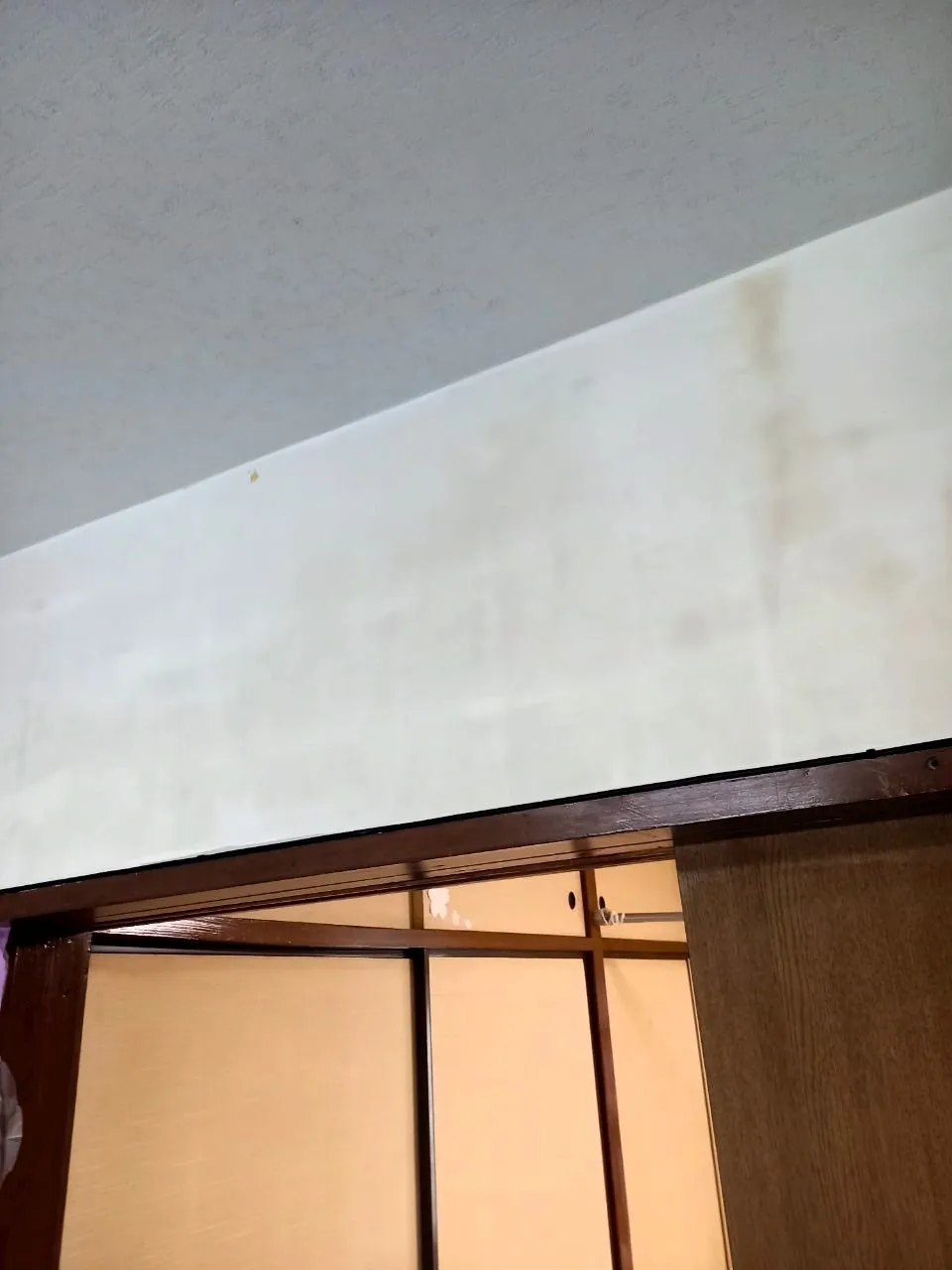 【神奈川県】住居のカビ検査・除去