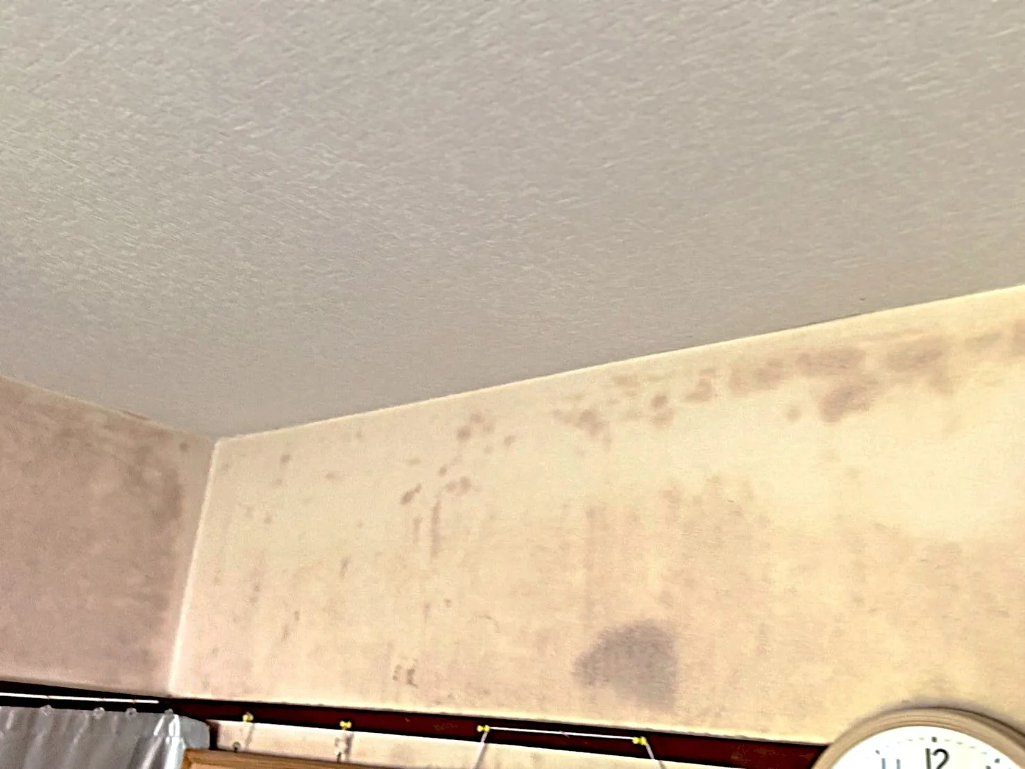 【神奈川県】住居のカビ検査・除去