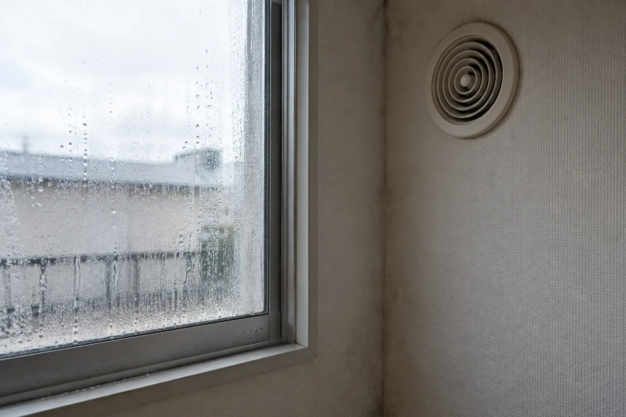 写真を見ながら電話で住宅のカビを相談する人