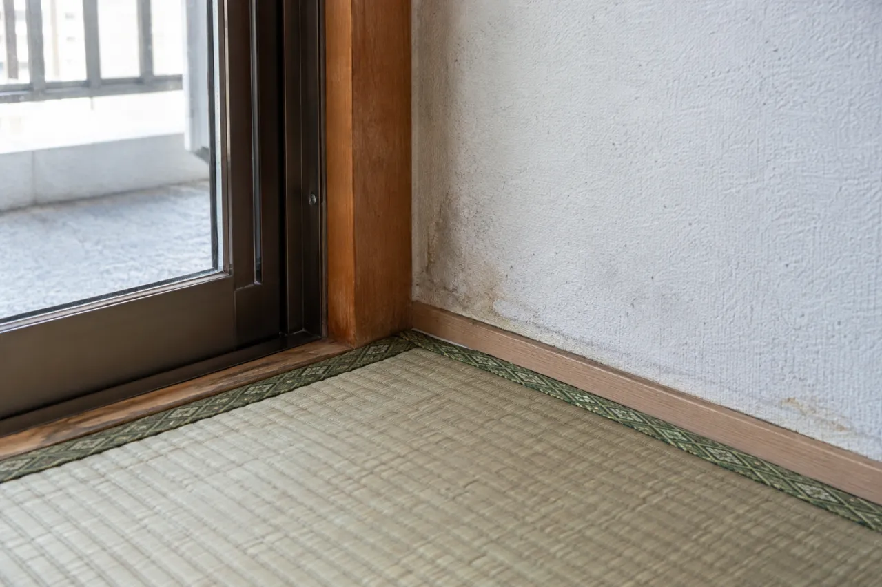 窓際の畳の編み目と変色した一角